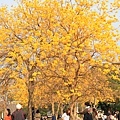 IMG_4638.jpg