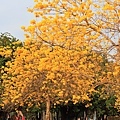 IMG_4642.jpg