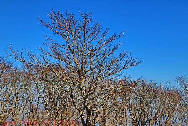 IMG_5062.jpg