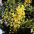 IMG_2742.jpg