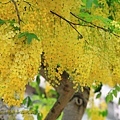 IMG_6247.jpg
