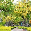IMG_6243.jpg