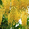 IMG_6249.jpg