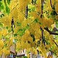 IMG_6248.jpg