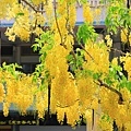 IMG_6254.jpg