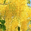 IMG_6308.jpg