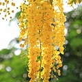 IMG_6310.jpg
