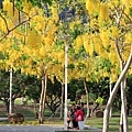 IMG_6313.jpg