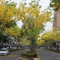 IMG_6314.jpg