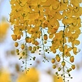 IMG_6312.jpg