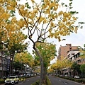 IMG_6315.jpg