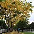 IMG_6316.jpg