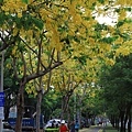 IMG_6318.jpg