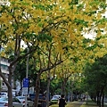 IMG_6319.jpg
