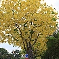 IMG_6321.jpg