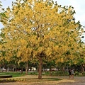 IMG_6322.jpg