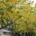 IMG_6320.jpg