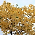 IMG_6323.jpg