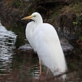 IMG_4924.jpg