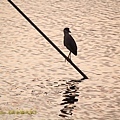 IMG_8094.jpg