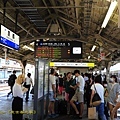 IMG_8931.jpg