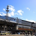 IMG_8936.jpg