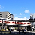 IMG_8941.jpg