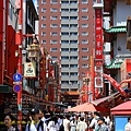 IMG_9385.jpg