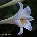 IMG_3958.jpg