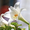 IMG_6725.jpg
