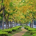 IMG_4261.jpg