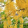 IMG_4326.jpg