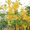 IMG_4327.jpg