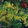 IMG_4334.jpg