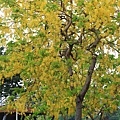 IMG_4347.jpg
