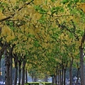 IMG_4256.jpg
