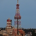 IMG_3691.jpg