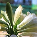 IMG_7378.jpg