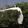 IMG_0186.jpg