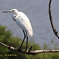 IMG_0188.jpg