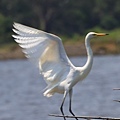 IMG_0211.jpg