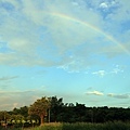 IMG_3134.jpg