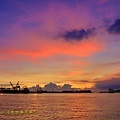 IMG_4513.jpg