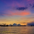 IMG_4503.jpg