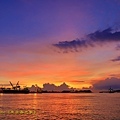 IMG_4536.jpg