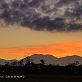 IMG_4723.jpg