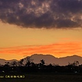 IMG_4704.jpg