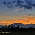 IMG_4782.jpg