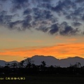 IMG_4751.jpg