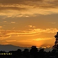 IMG_0505.jpg